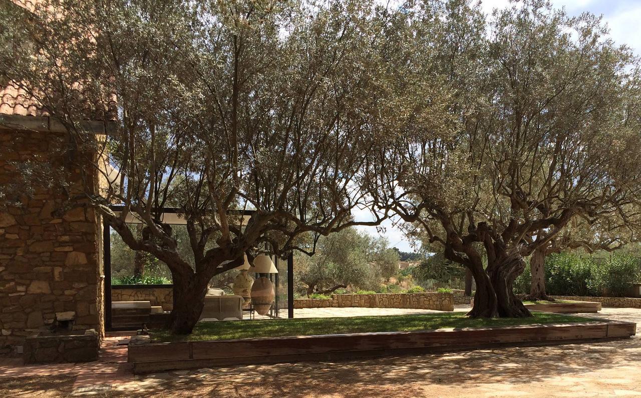 B&B La Collegiata Caltagirone Eksteriør bilde
